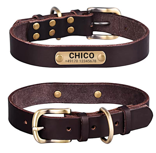 Hundehalsbånd i ægte læder med messingspænde i fire farver og gratis indgravering af navn og telefonnummer