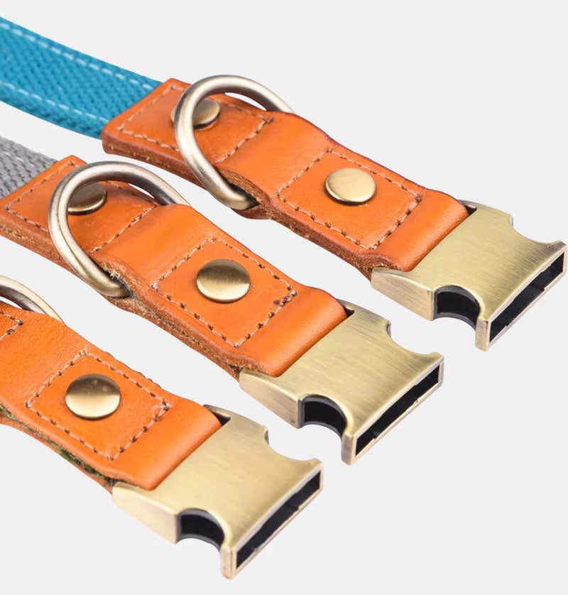 Hundehalsbånd "Valdo" med indgravering - robust PE-stof & læder - mat messing - marineblå, lyseblå eller grøn (S-L)