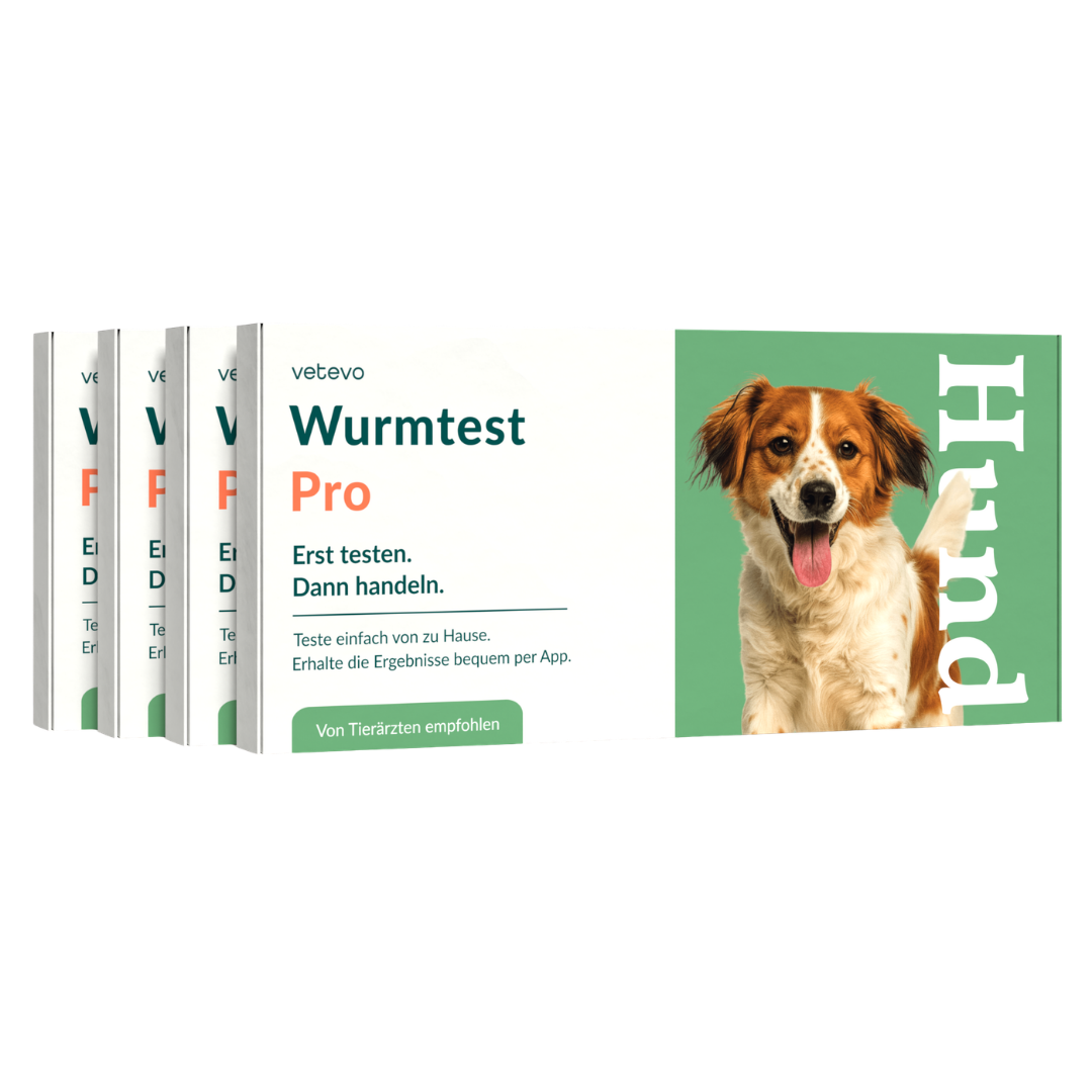 Ormetest Pro Hund Sparpakke