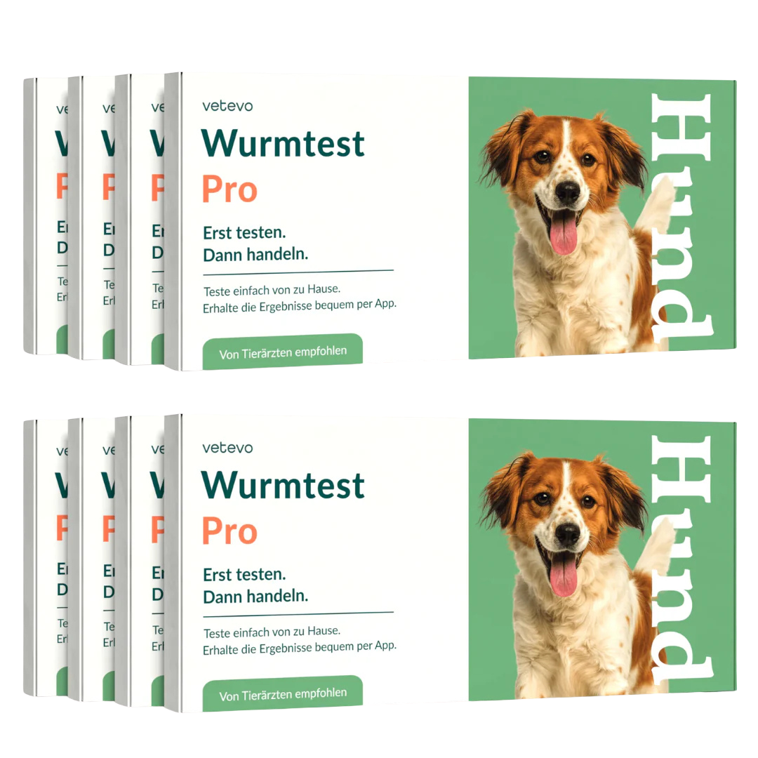 Ormetest Pro Hund Sparpakke