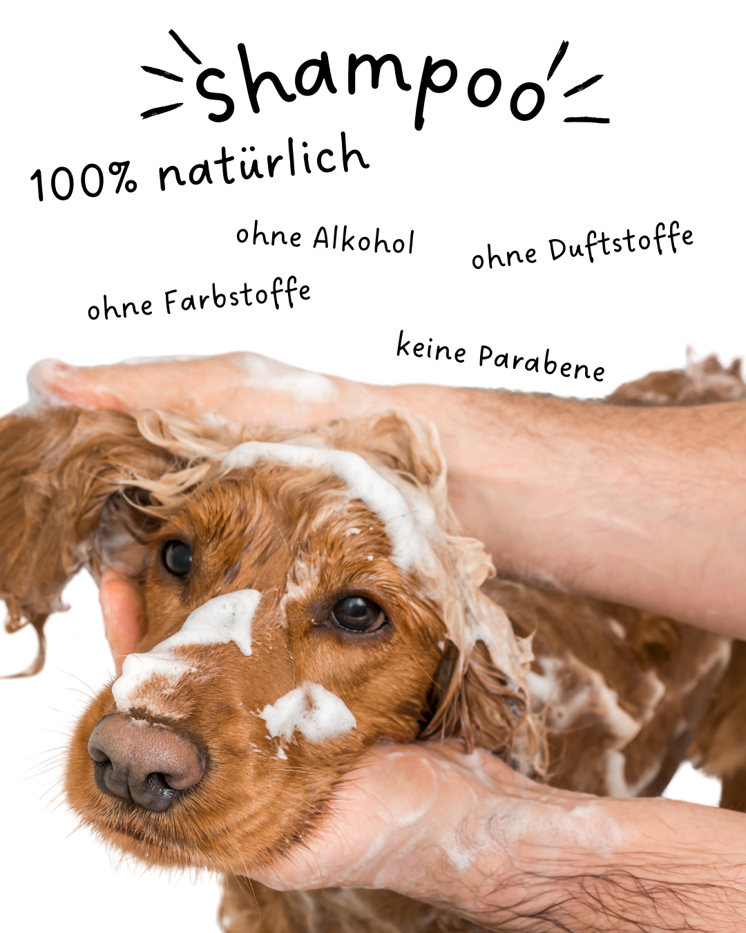 Riolino Shiny Fur Shampoo - skånsom pleje til en skinnende pels