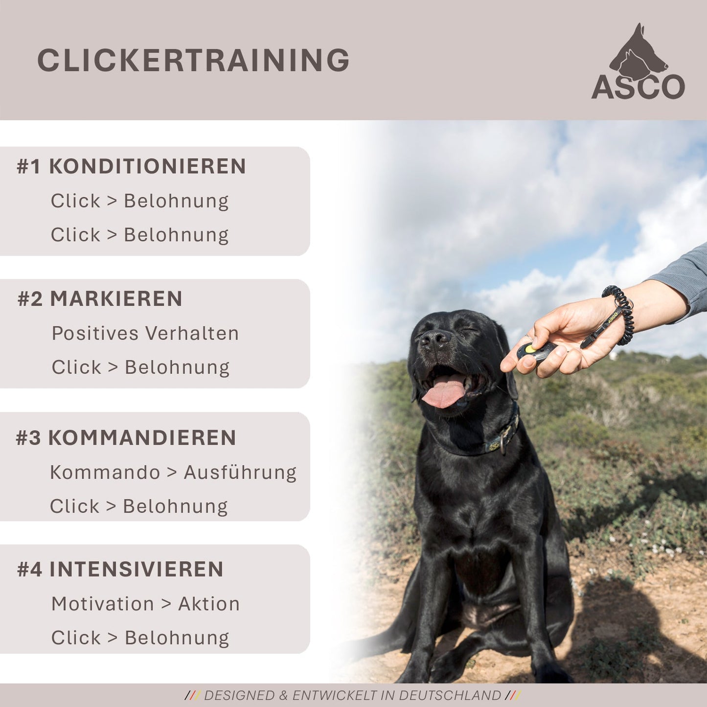 ASCO Finger Clicker - klikkertræning med premium-klikker til hunde, katte og heste