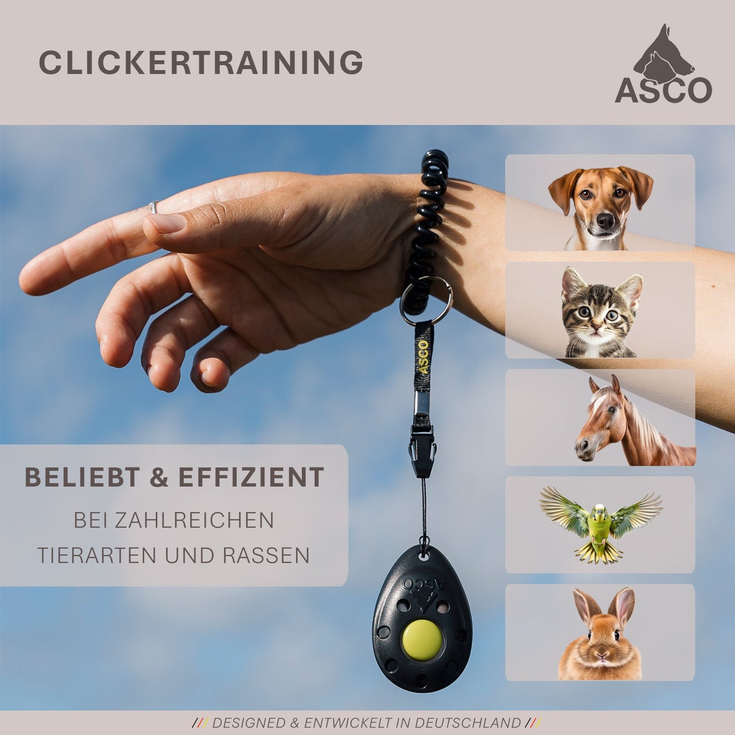 ASCO Finger Clicker - klikkertræning med premium-klikker til hunde, katte og heste