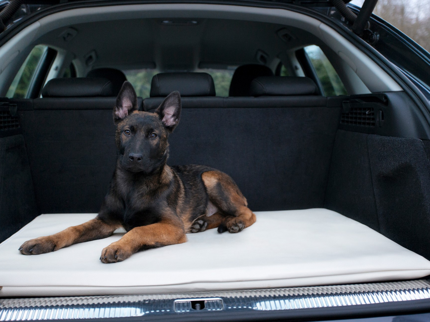 Betræk til JOKKMOKK kunstlæder