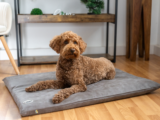 Hundeseng JOKKMOKK vegansk ruskind