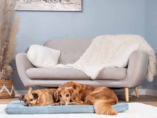 Hundeliggemåtte JOKKMOKK Cord