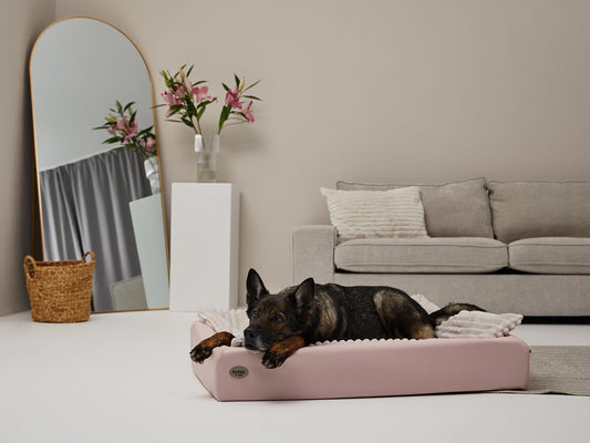 Hundeseng KUDDE Pastel Kunstlæder