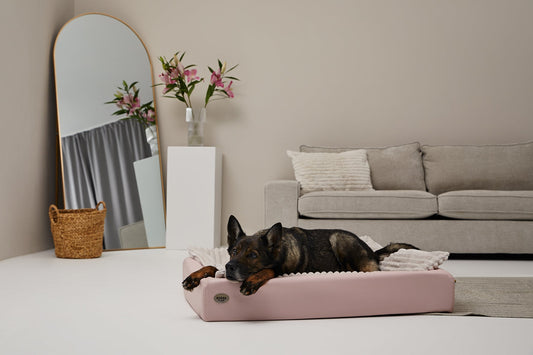 Betræk til KUDDE Pastel Kunstlæder