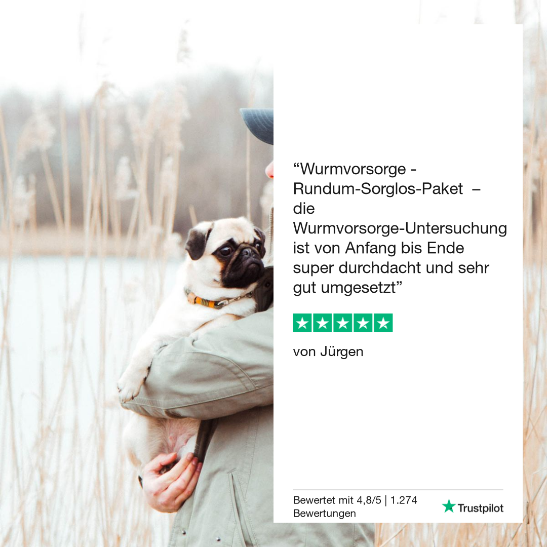 Lungeormtest Hund