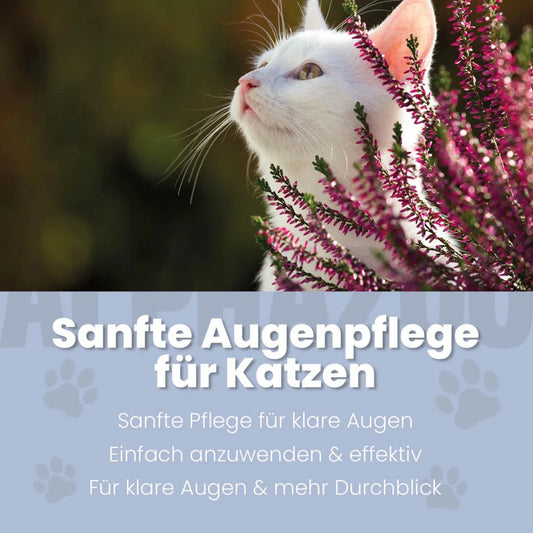 Durchblick Øjenpleje til katte