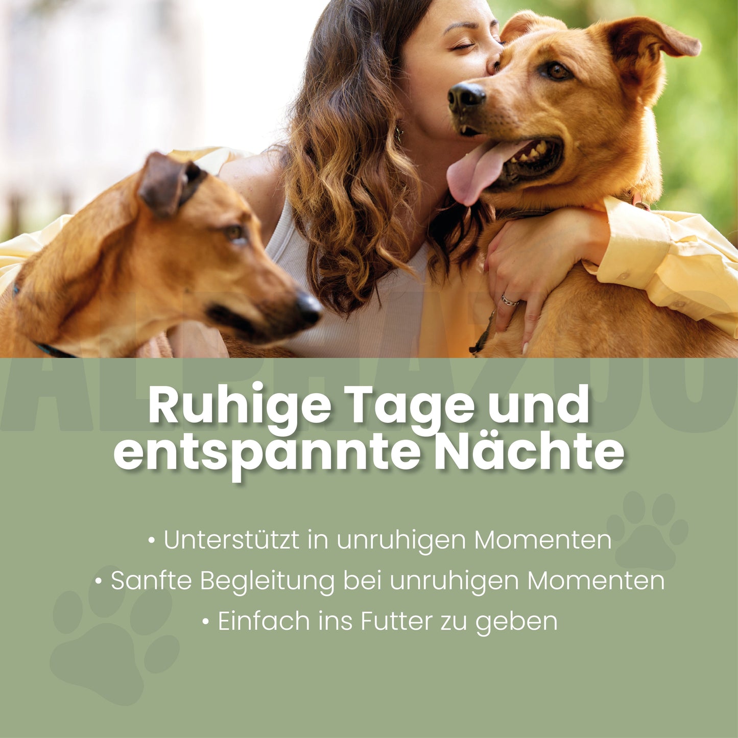 Beroligende tabletter til hunde