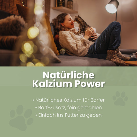 Æggeskaller i pulverform til katte