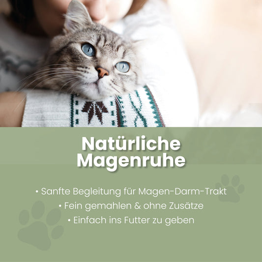 Elmebarkpulver til katte
