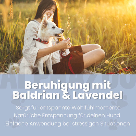 Seelenruhe kurvespray til hunde
