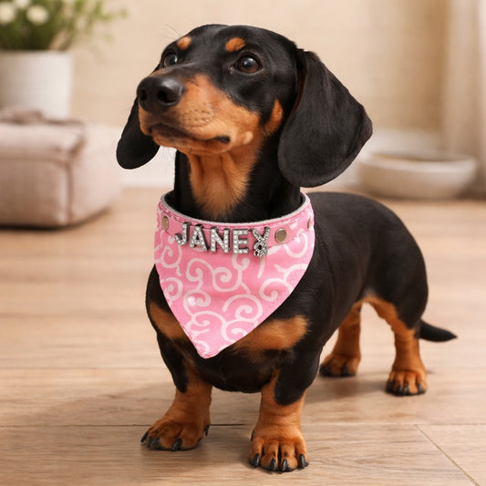 Hundebandana med navn og hundehalsbånd lavet af ægte læder. Besat med glitrende rhinestone-bogstaver