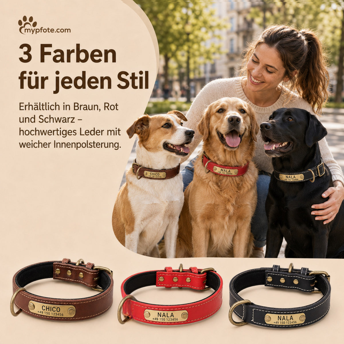 Hundekrage med navn på messingskilt lavet af læder af høj kvalitet, indenlandsk polstring lavet af neopren, 2 massive D-ringe