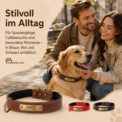 Hundekrage med navn på messingskilt lavet af læder af høj kvalitet, indenlandsk polstring lavet af neopren, 2 massive D-ringe