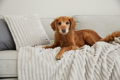 Krammetæppe VÄRME bredfløjl 