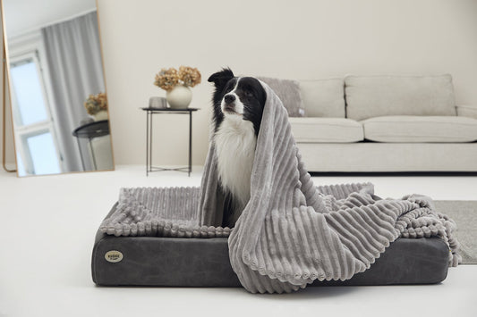 Krammetæppe VÄRME bredfløjl 