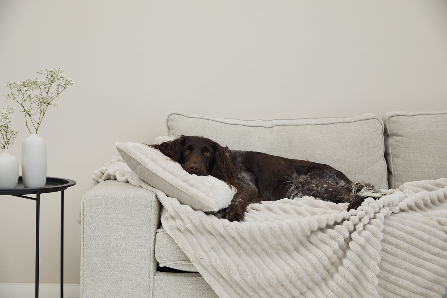 Krammetæppe VÄRME bredfløjl 