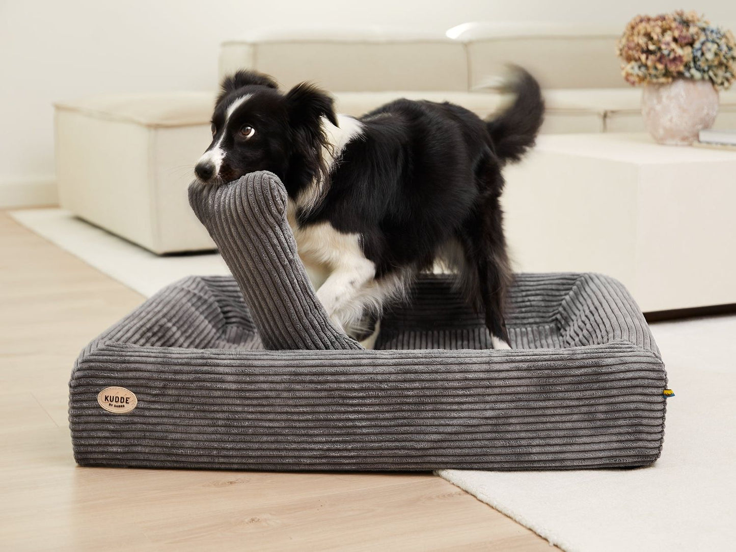 Pude KUSCHELKNOCHEN Ledning