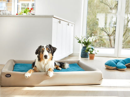 Indsats til KUDDE MUMIN Alltid