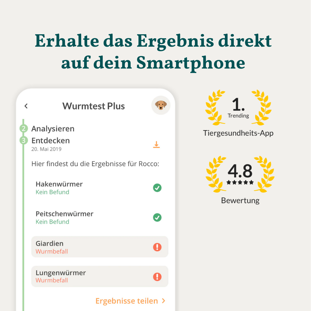 Ormetest Plus Hund 