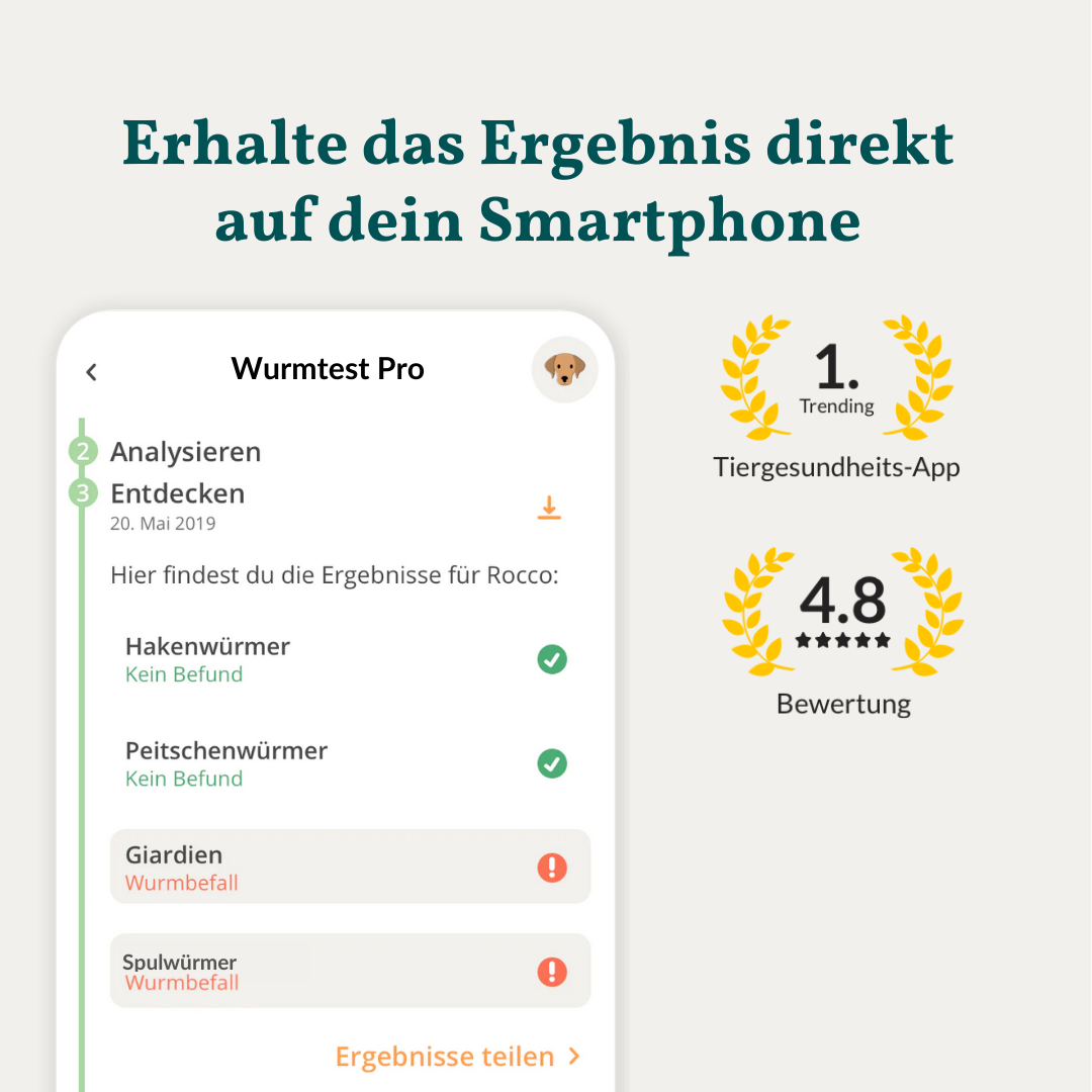 Ormetest Basis Hund Sparpakke 