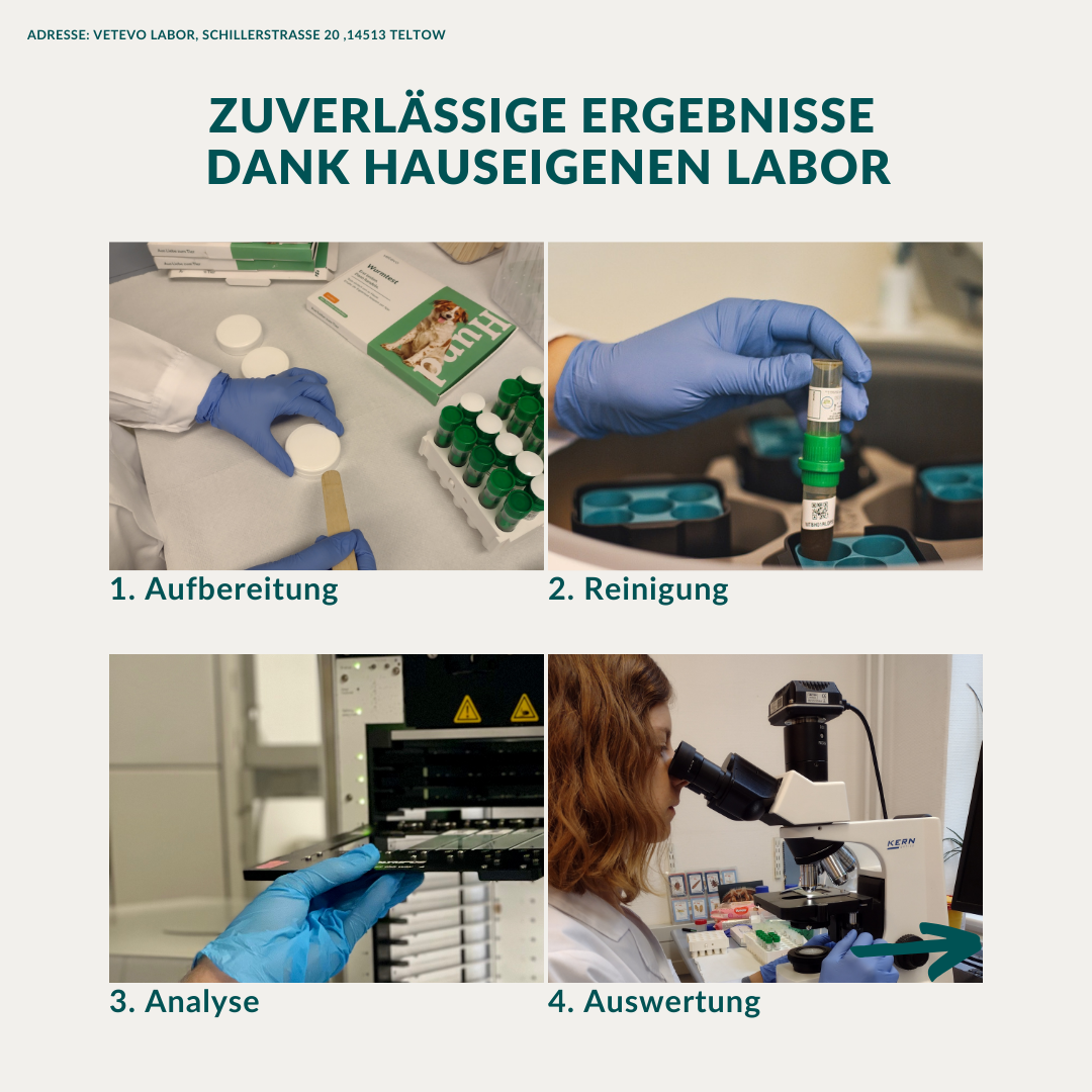 Ormetest Basis Hund Sparpakke 