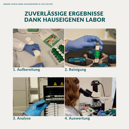 Ormetest Basis Hund Sparpakke 