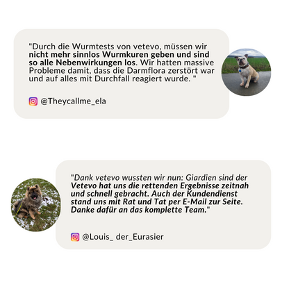 Ormetest Plus Hund 