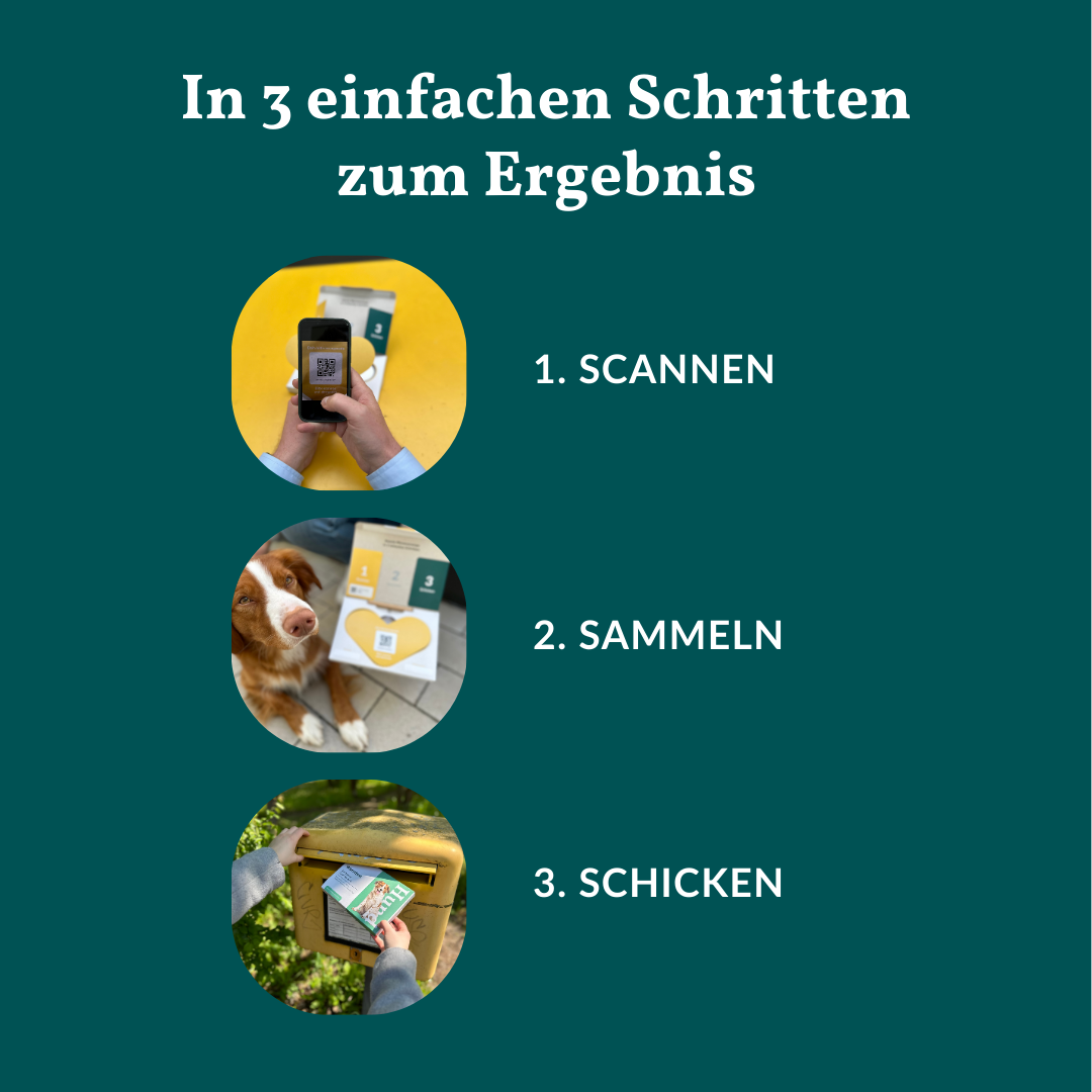 Ormetest Basis Hund Sparpakke 