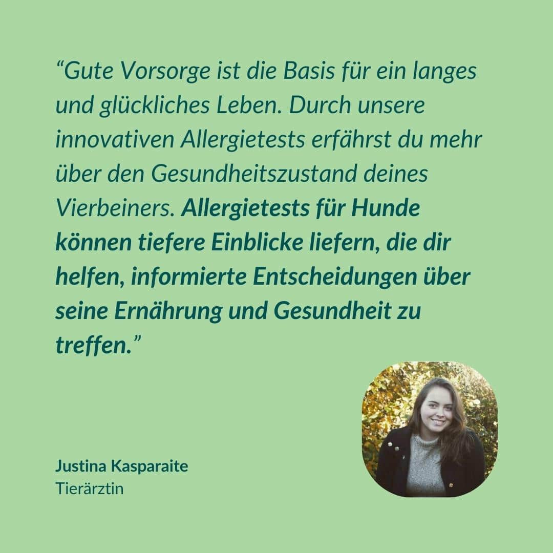 Allergitest Basic Hund 