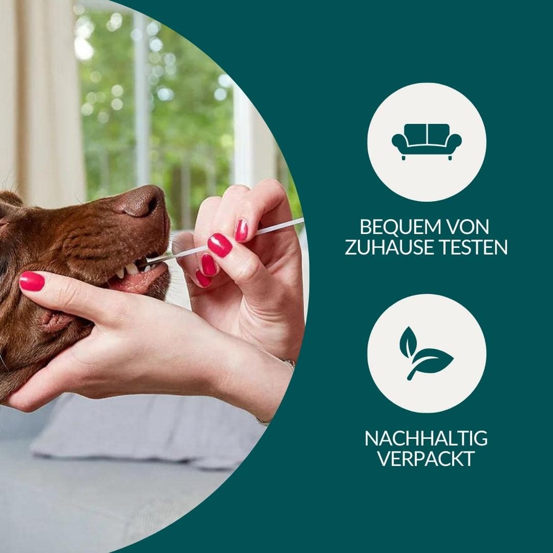 Allergitest Basic Hund 