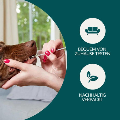 Allergitest Basic Hund 