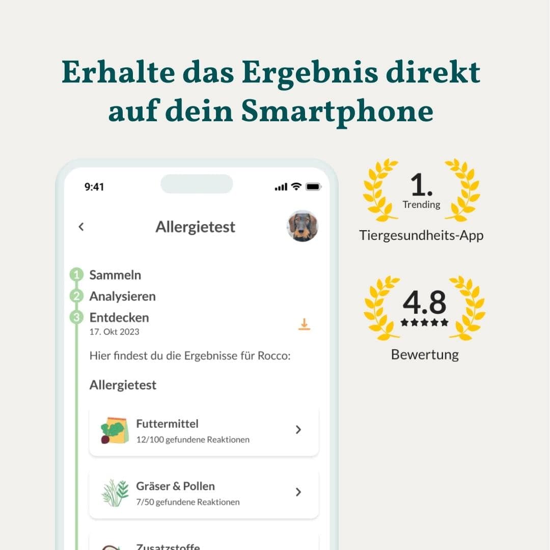 Allergitest Basic Hund 