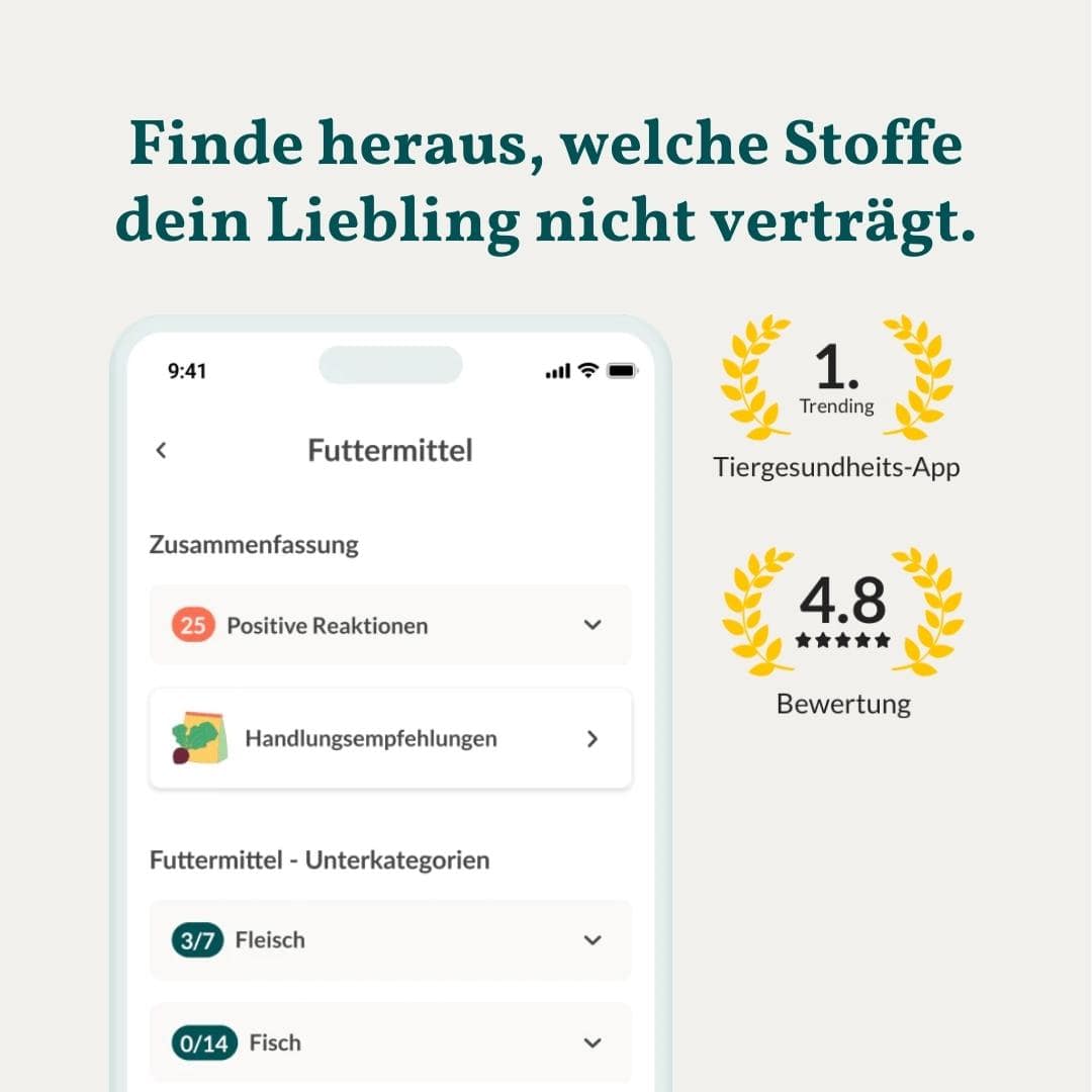 Allergitest Basic Hund 