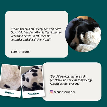 Allergitest Basic Hund 