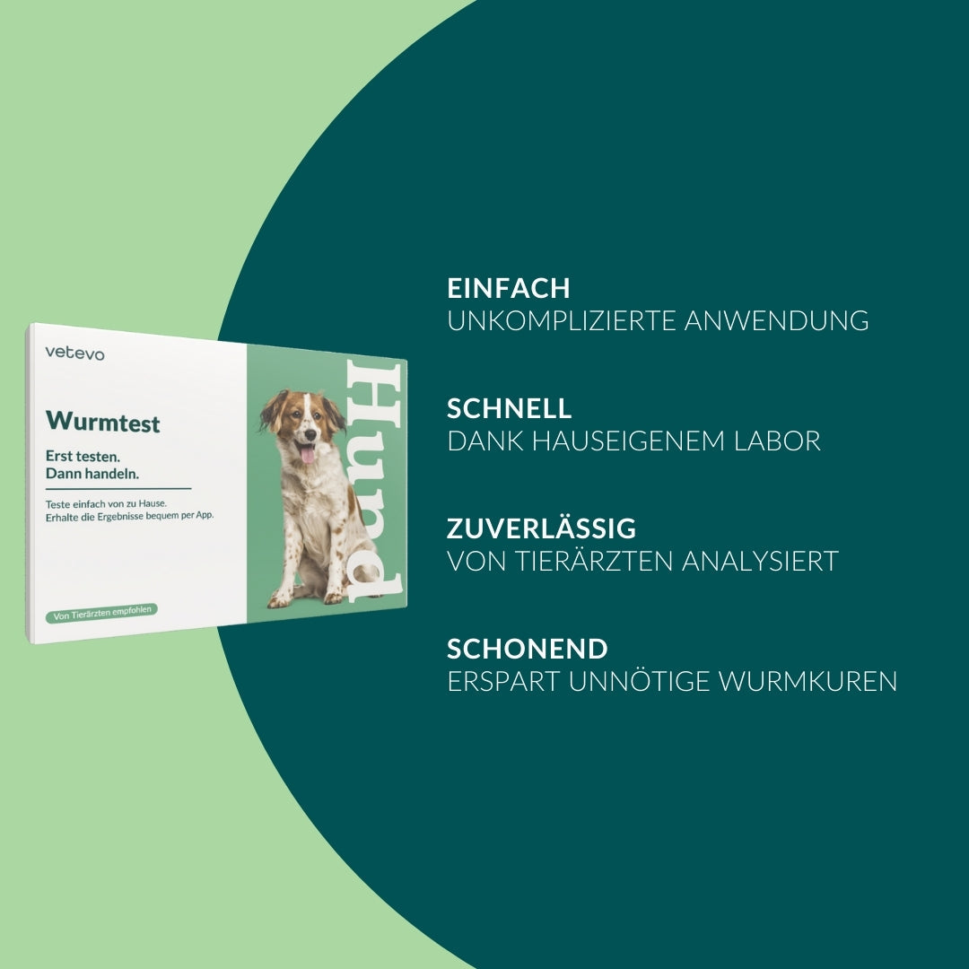 Ormetest Basis Hund Sparpakke 