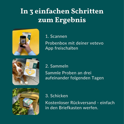 Ormetest Plus Hund 