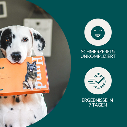 Mikronæringsstoftest - Mangler Hund 