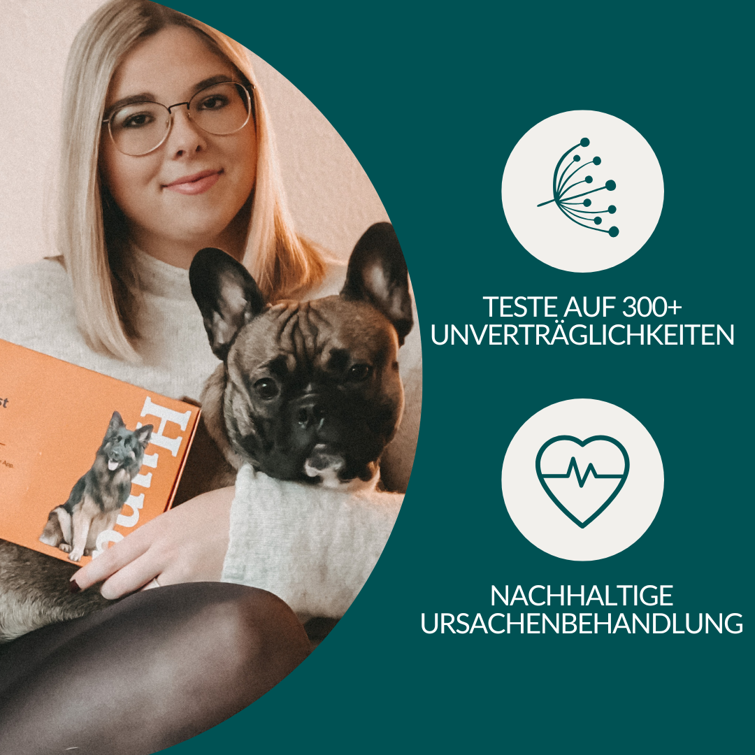Allergitest pr. hund