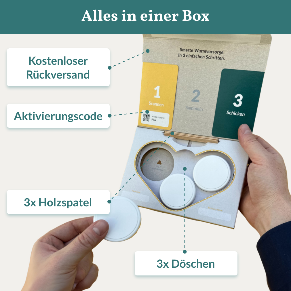 Diarré test hund 