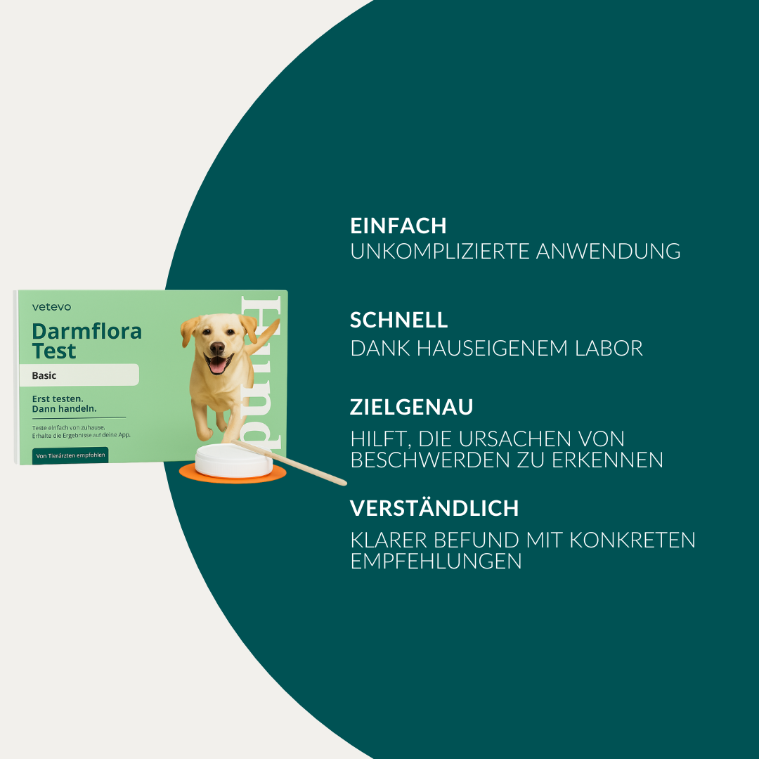 Tarmflora Test Hund 