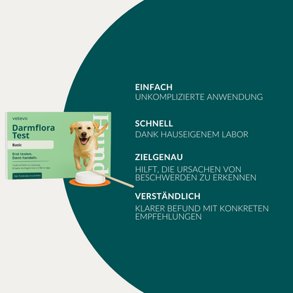 Tarmflora Test Hund 
