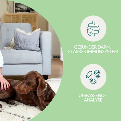 Tarmflora Test Hund 