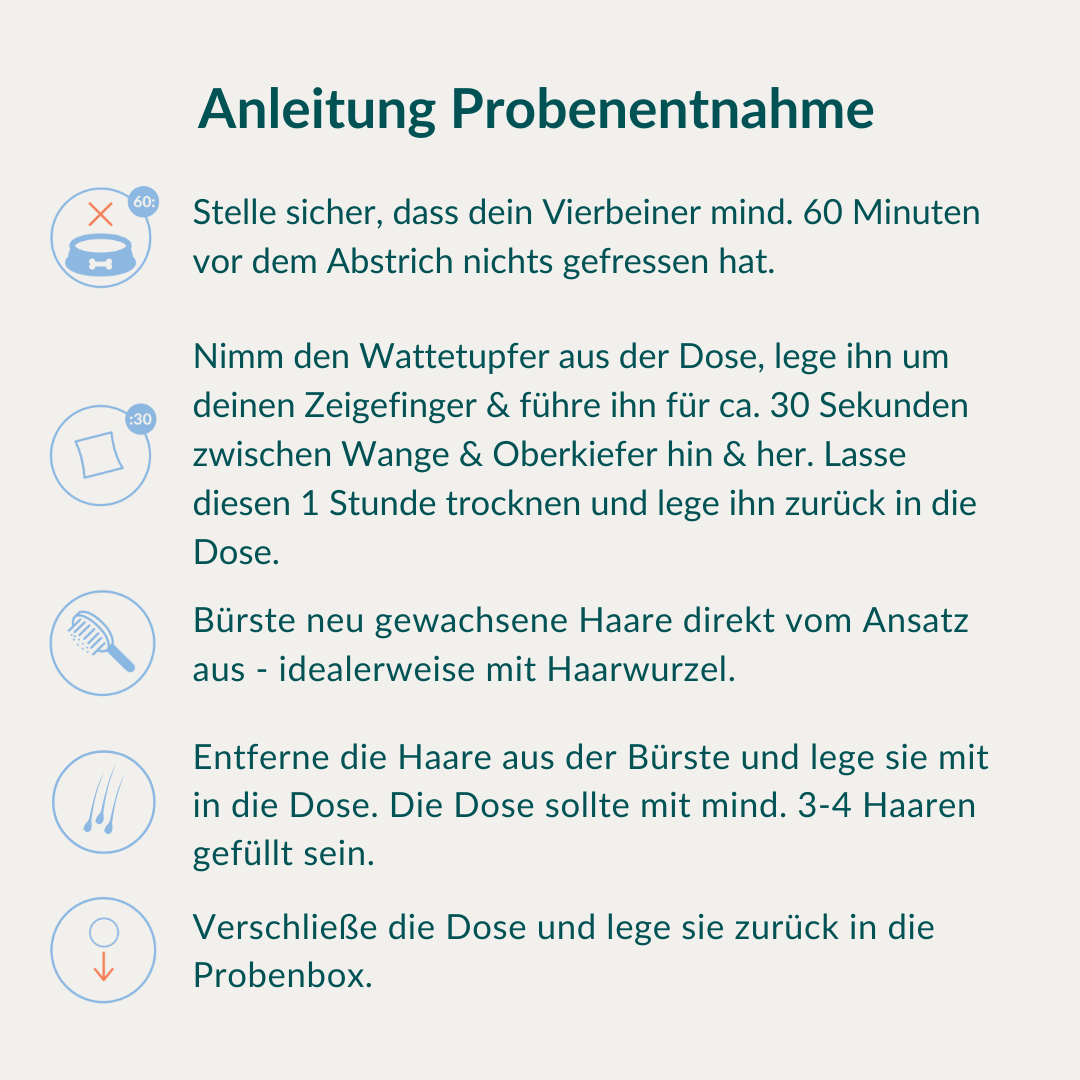 Allergitest Basic Hund 