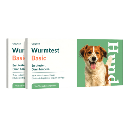 Ormtest Basic Hund 