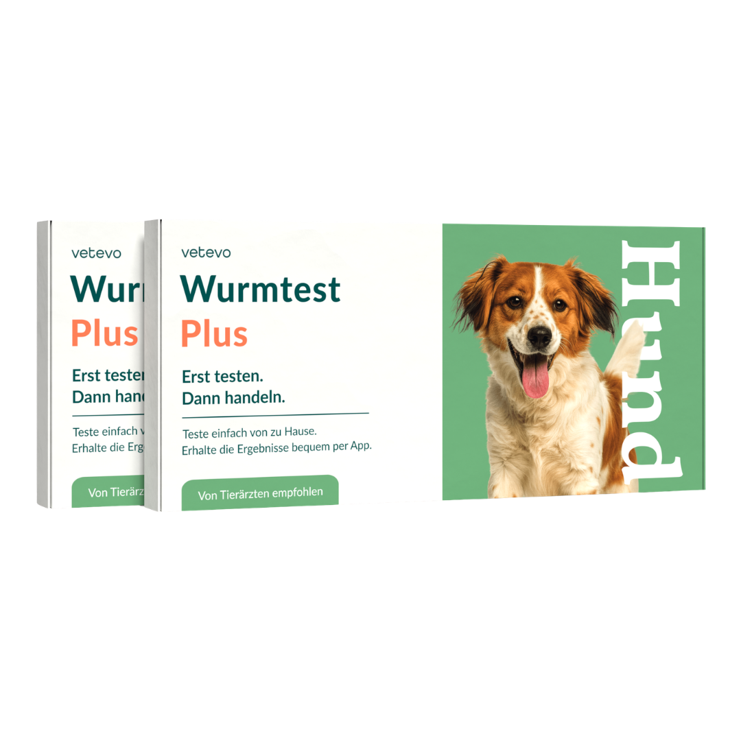 Ormetest Plus Hund 