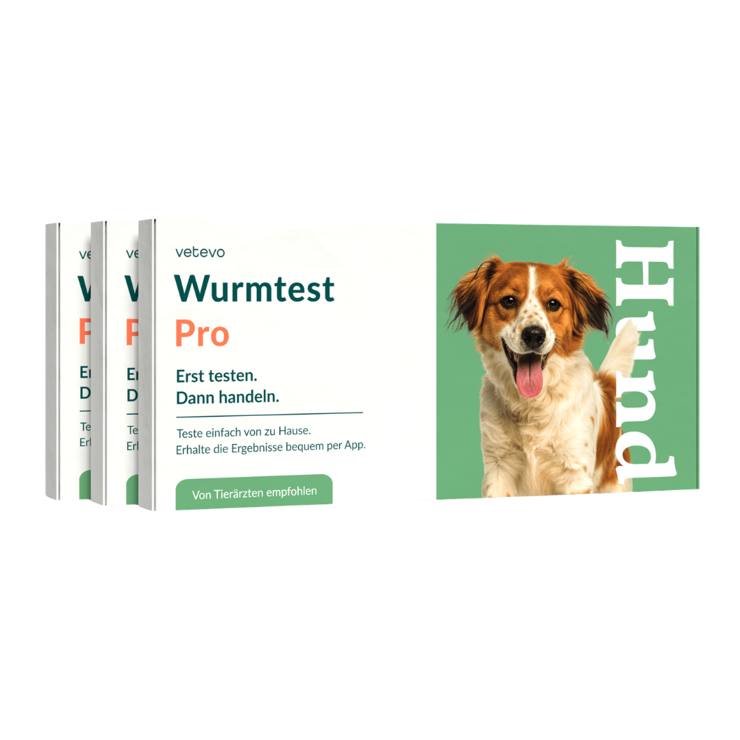 Ormtest Pro Hund 